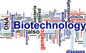 Keywords for biotechnology jobs and biotechnology careers